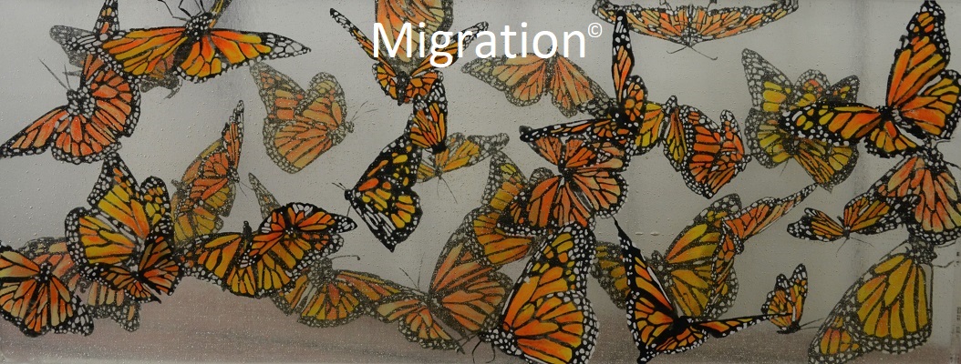 Lauri Maitland - Migration